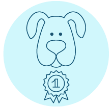 אילוף כלבים